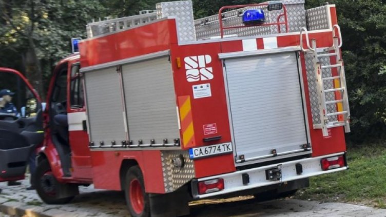 Снимка: Булфото, архив