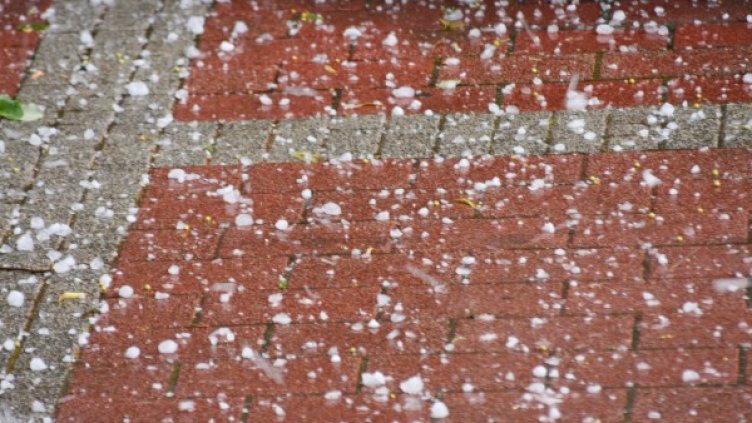 Снимка: Архив, Булфото