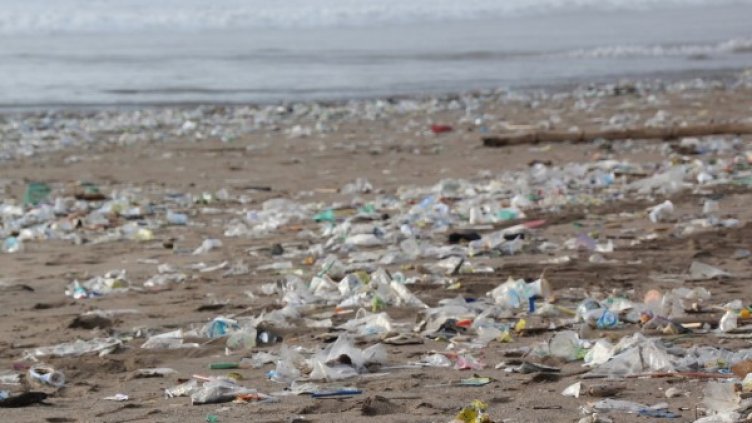 Снимка: Pixabay