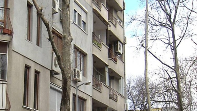 Снимка: BulFoto архив