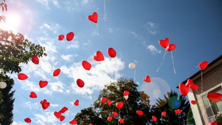 Снимка: Pexels