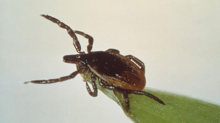 Източник: Reuters