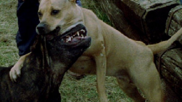 Снимка: Reuters, архив