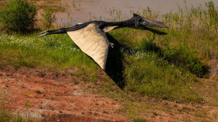 Снимка: Pixabay