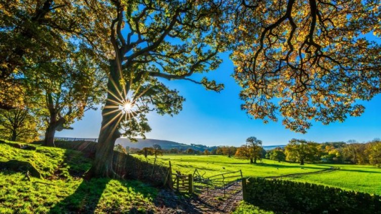 Снимка: Pixabay