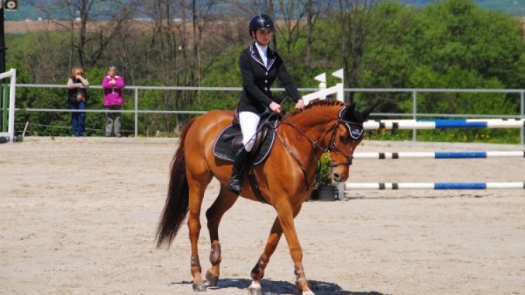 Снимка: pixaBay