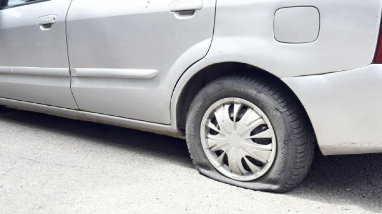 Снимка: архив "Булфото"