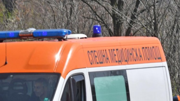 Снимка: архив Булфото