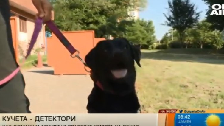 Снимка: Bulgaria ON AIR