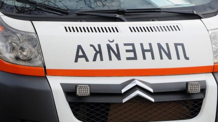 Снимка: Архив, Булфото