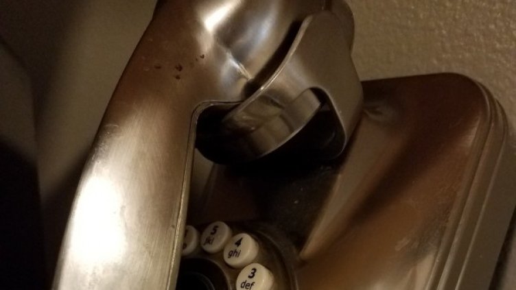 Снимка: Pixabay