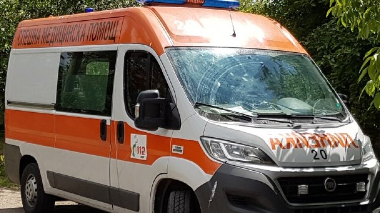 Снимка: архив, Булфото