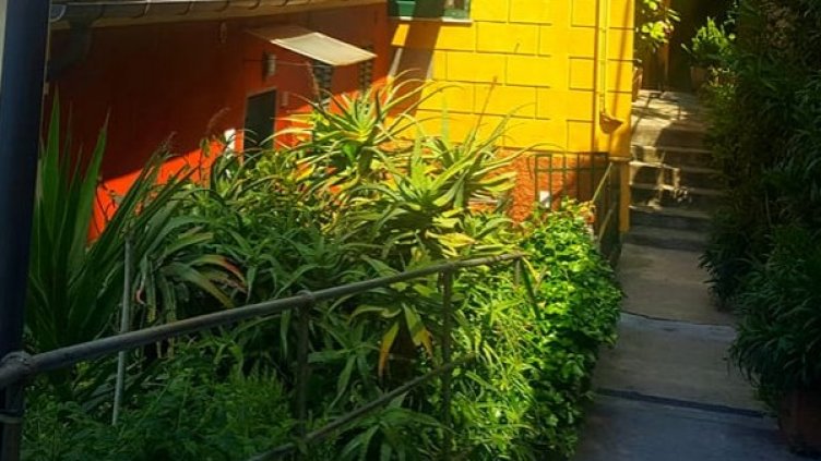 Снимка: Dnes.bg