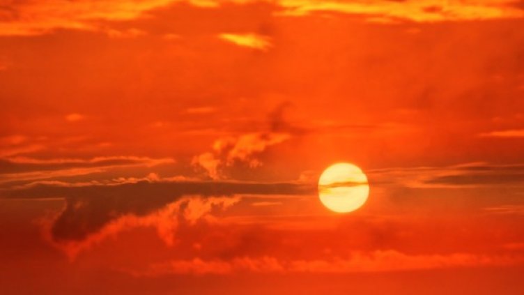 Снимка: Pixabay