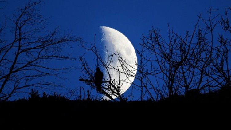 Снимка: Pixabay