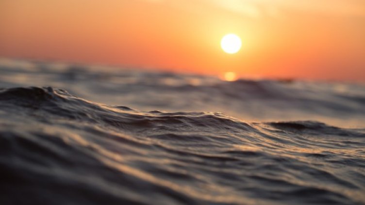 Снимка: Pixabay