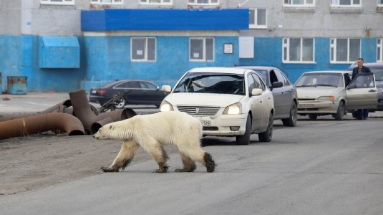 Снимка: Reuters