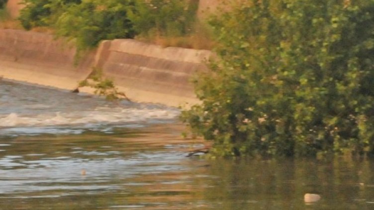 Снимка: Булфото