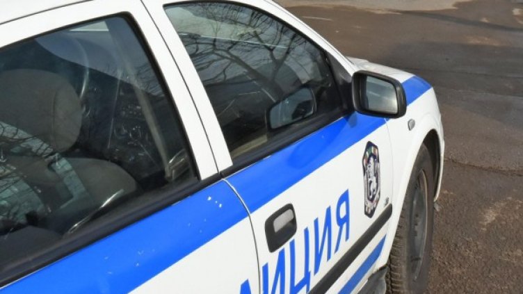 Снимка: Архив, Булфото