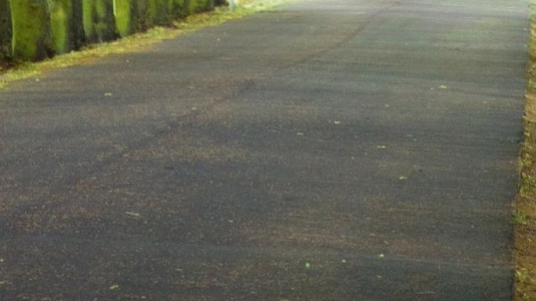 Снимка: pixabay.com