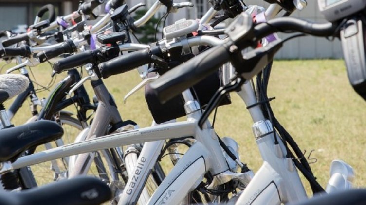 Снимка: pixabay