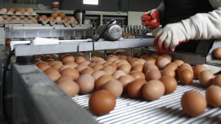 Снимка: архив, Reuters