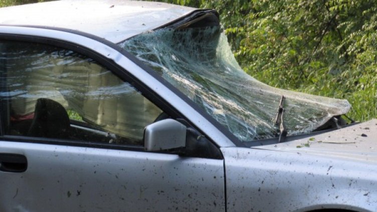 Снимка: Булфото, архив