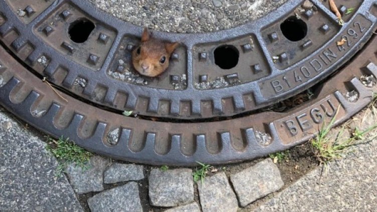 Снимка: Feuerwehr Dortmund