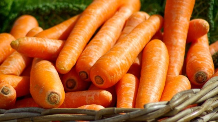 Снимка: Pexels