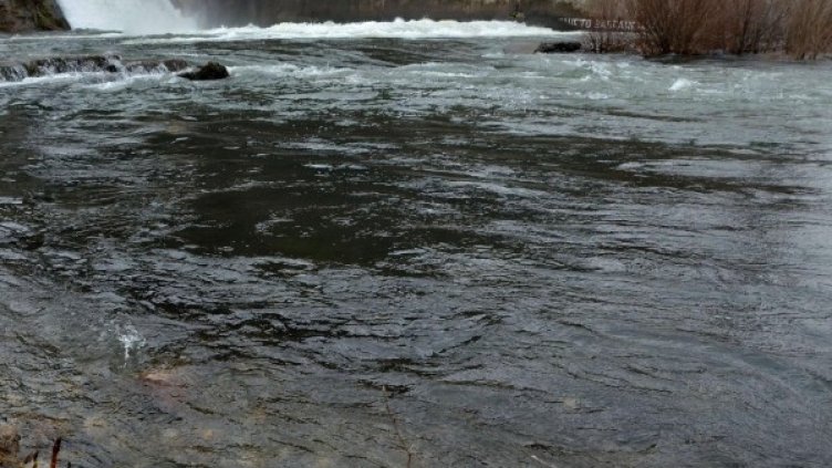 Снимка: Булфото, архив