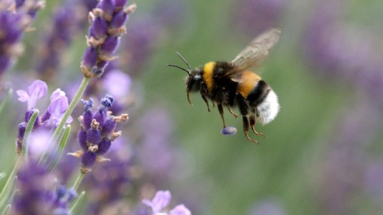 Снимка: архив, Reuters