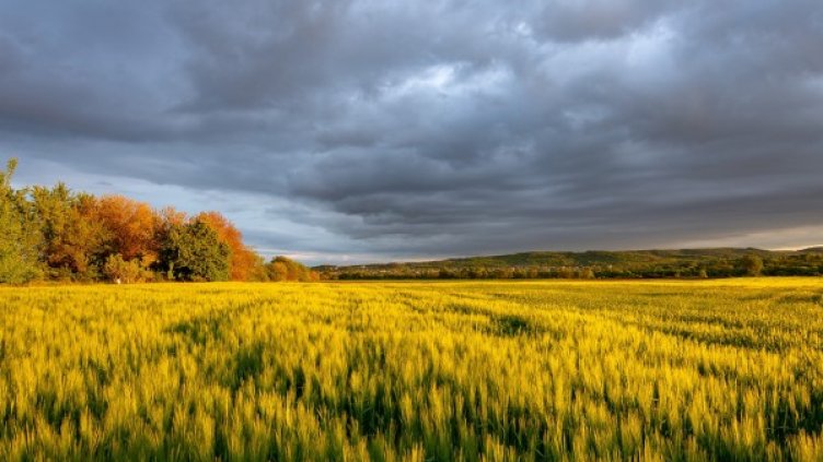 Седмицата почва с облаци, дъжд и гръмотевици