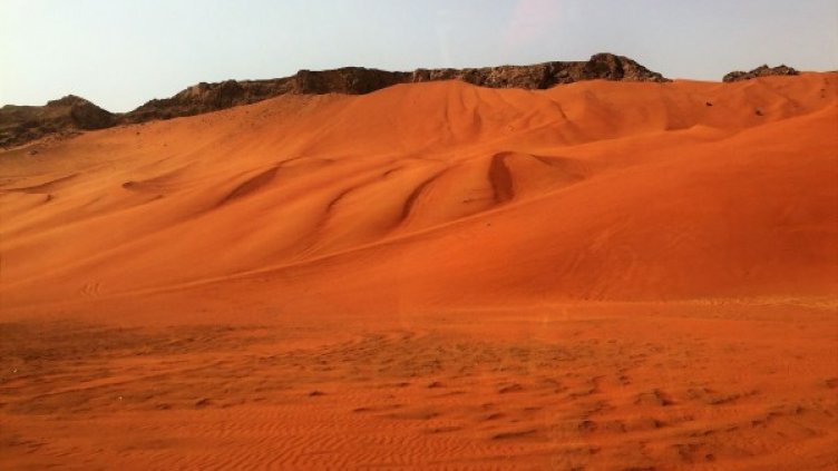 Снимка: Pixabay