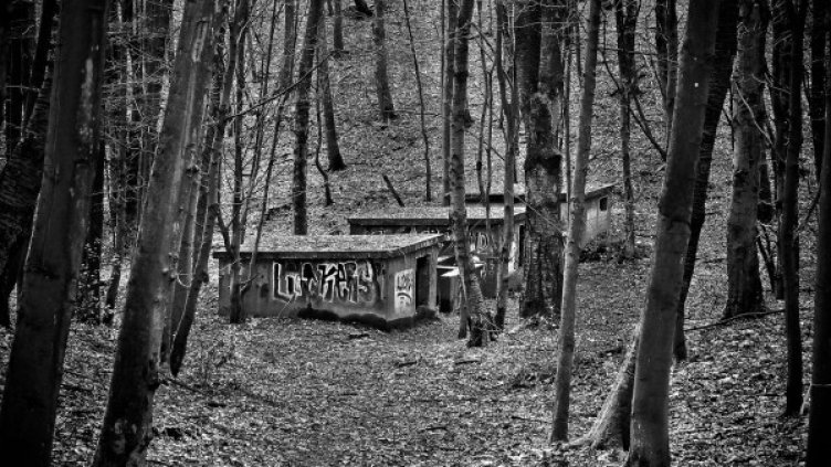 Снимка: Pixabay