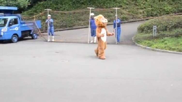 "Лъв" избяга от японски зоопарк... И стана хит в интернет