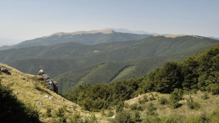 Снимка: Булфото