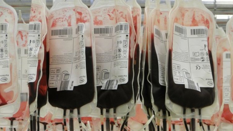 Снимка: Pixabay