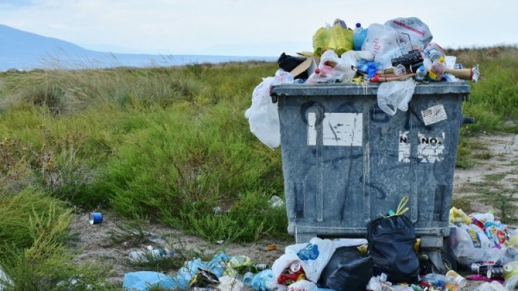 Снимка: Pixabay