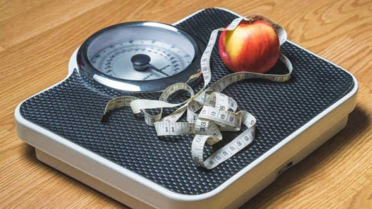 Снимка: Pixabay