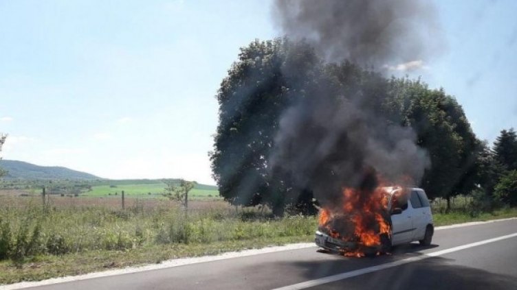 Снимка: Дарик