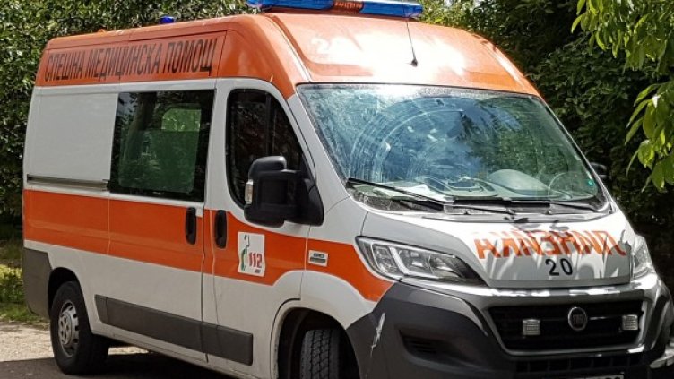 Снимка: архив, Булфото