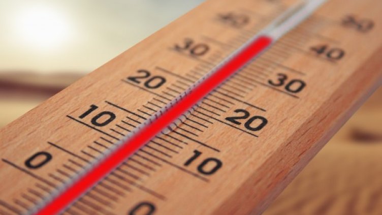 Снимка: pixaBay