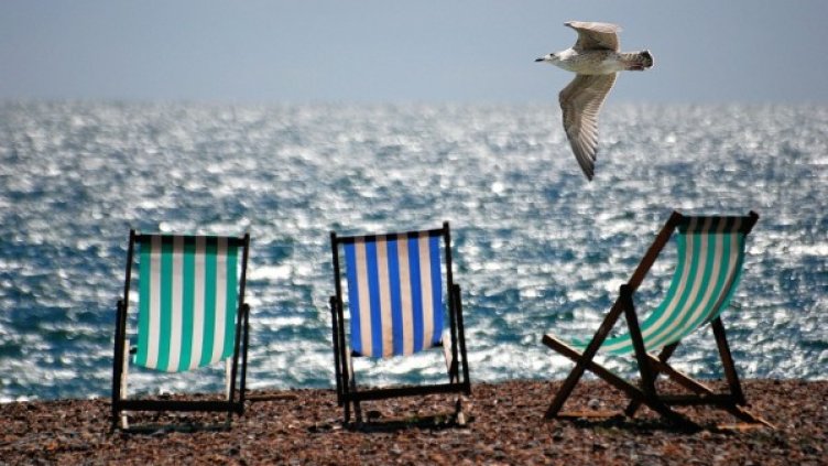 Снимка: pixabay