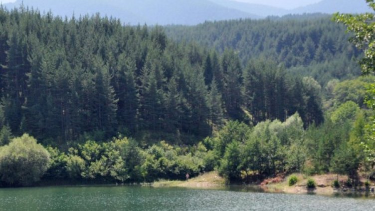 Снимка: Булфото