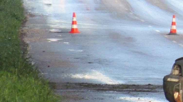 Снимка: Булфото