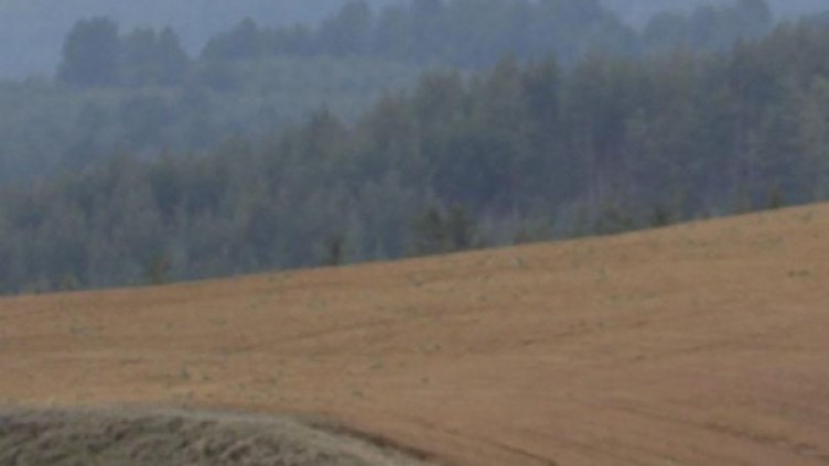 Снимка: архив, Булфото