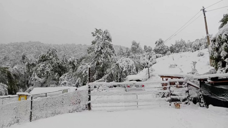 Снимка БГНЕС