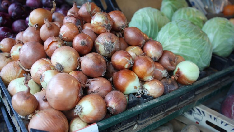 Снимка: архив, БГНЕС