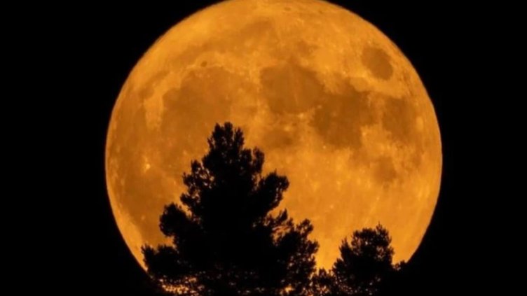 Снимка Пиксабей