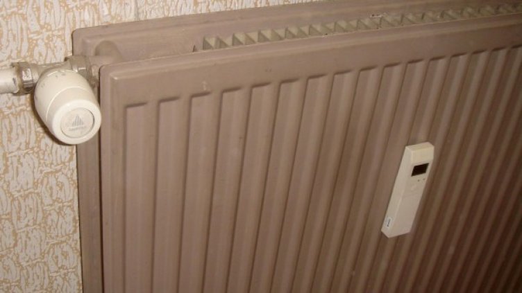 Снимка: Булфото, архив